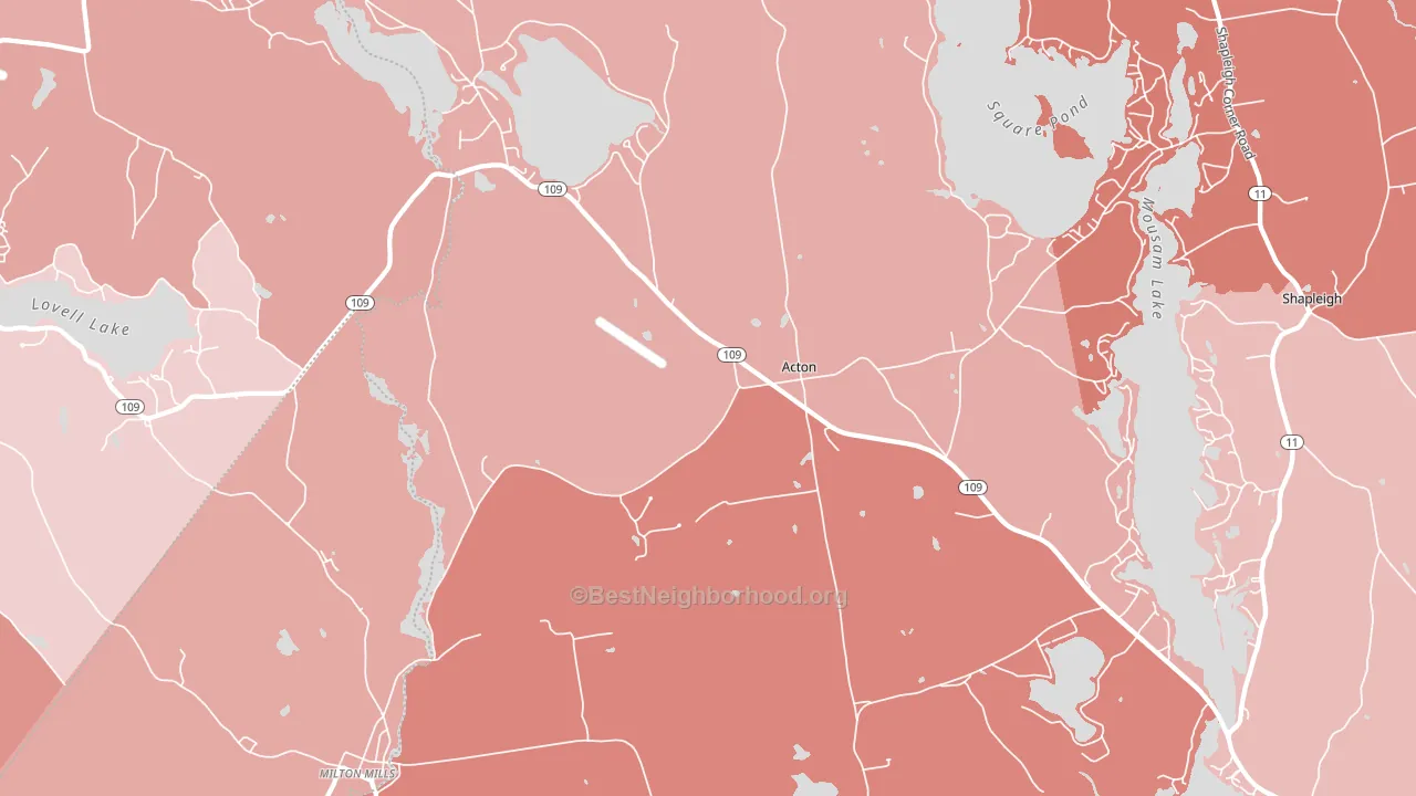Acton, ME block-group political-lean map