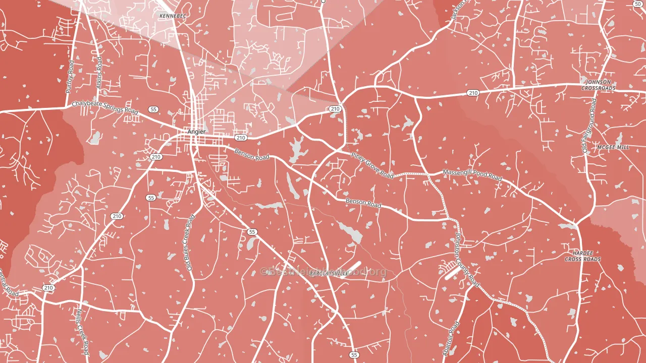 Angier, NC block-group political-lean map