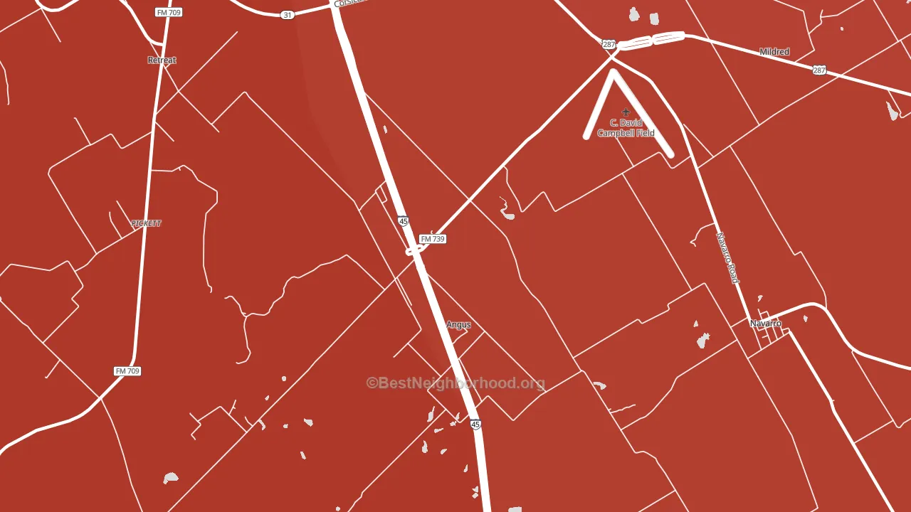 Angus, TX block-group political-lean map