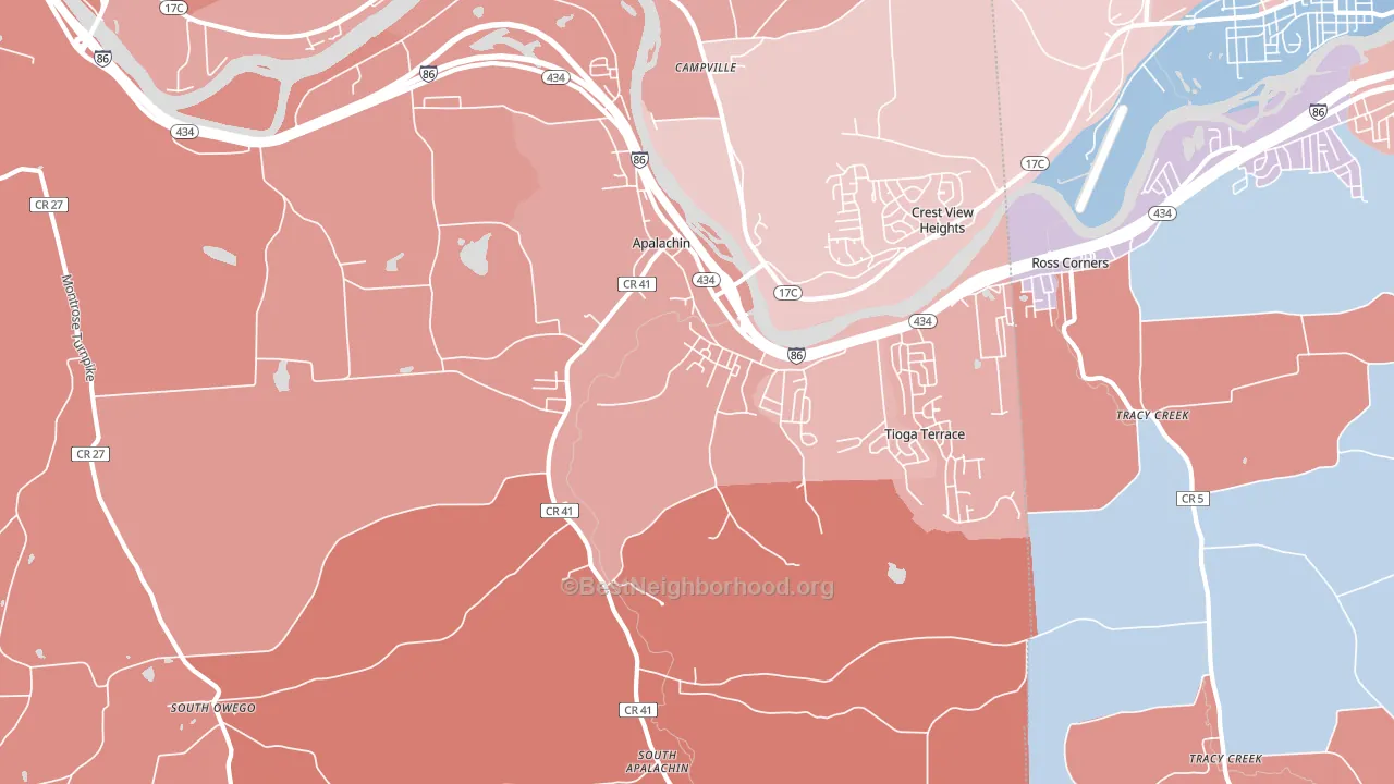 Apalachin, NY block-group political-lean map