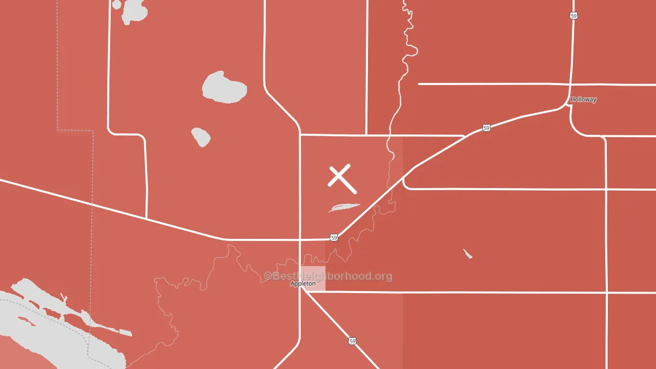 Appleton, MN block-group political-lean map