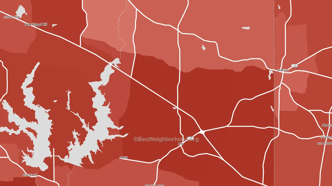 Arp, TX block-group political-lean map