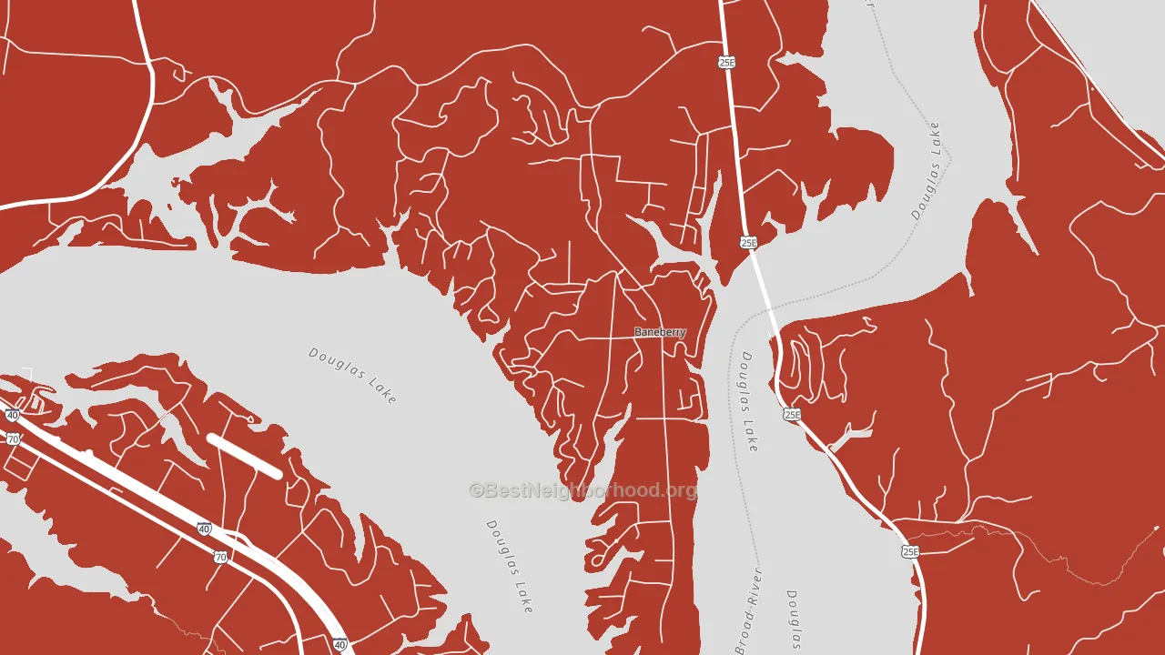 Baneberry, TN block-group political-lean map