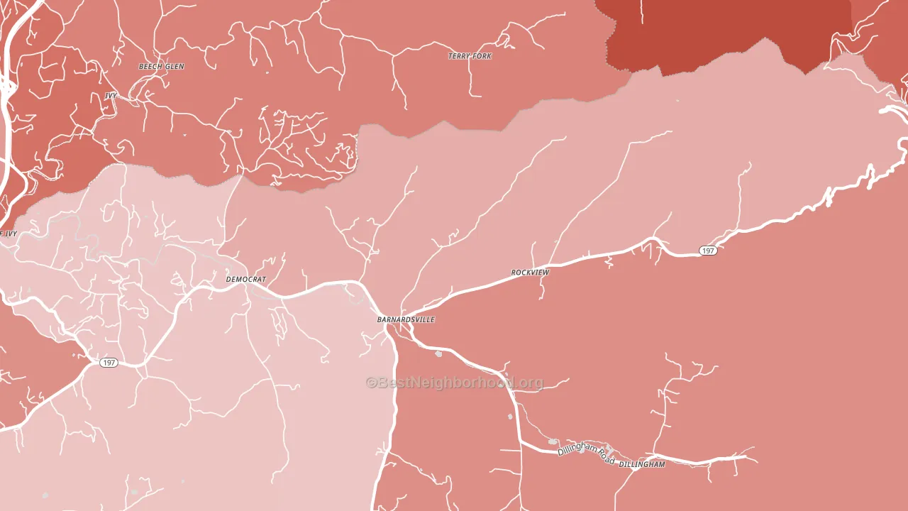 Barnardsville, NC block-group political-lean map