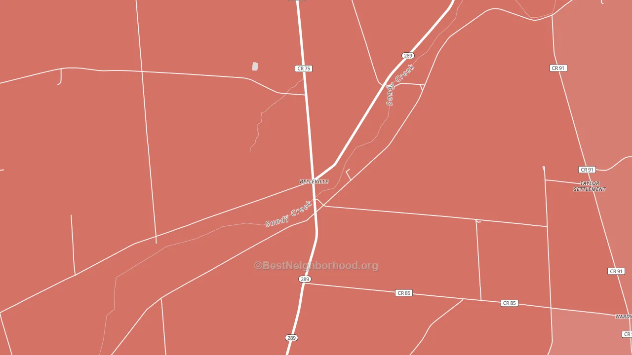 Belleville, NY block-group political-lean map
