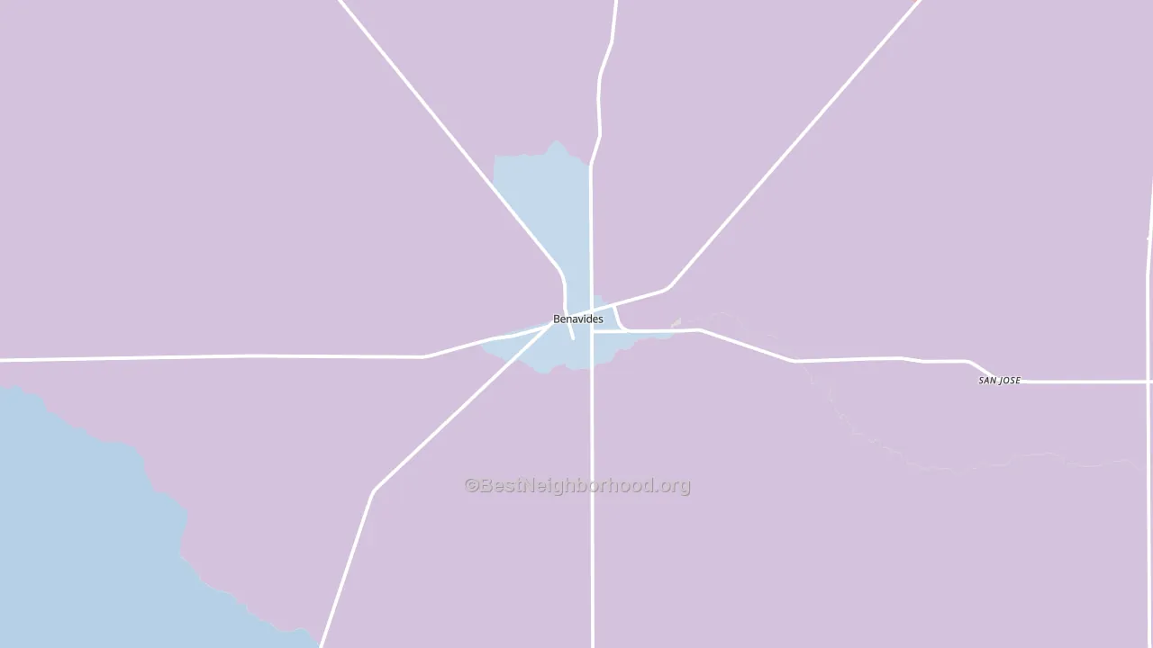 Benavides, TX block-group political-lean map