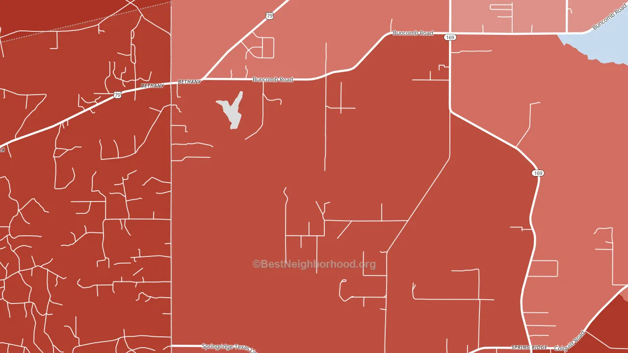Bethany, LA block-group political-lean map