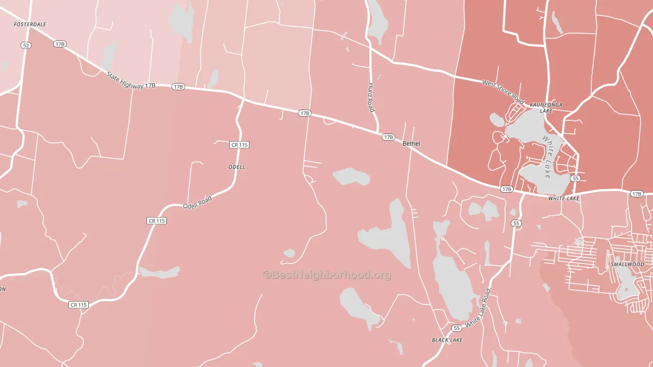 Bethel, NY block-group political-lean map