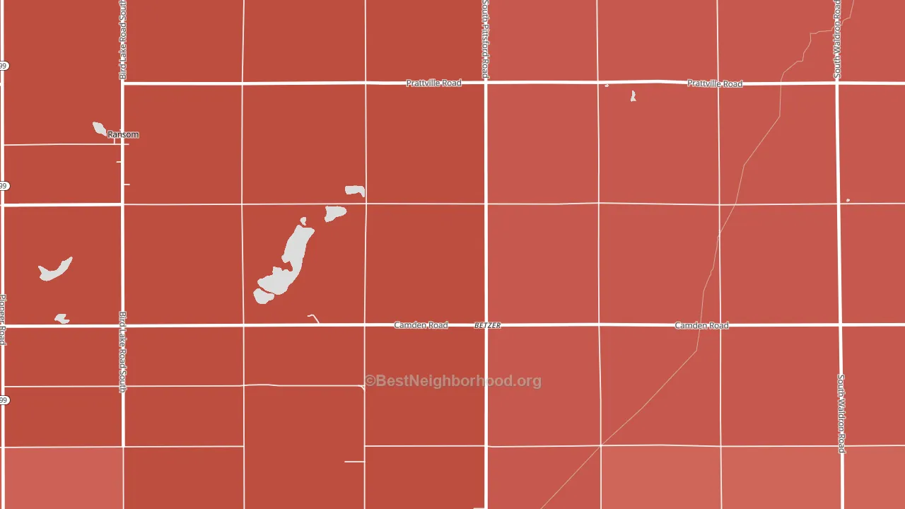 Betzer, MI block-group political-lean map