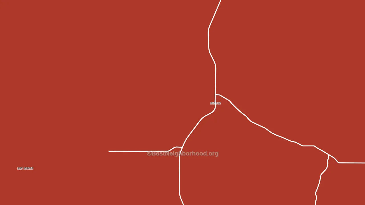 Biddle, MT block-group political-lean map