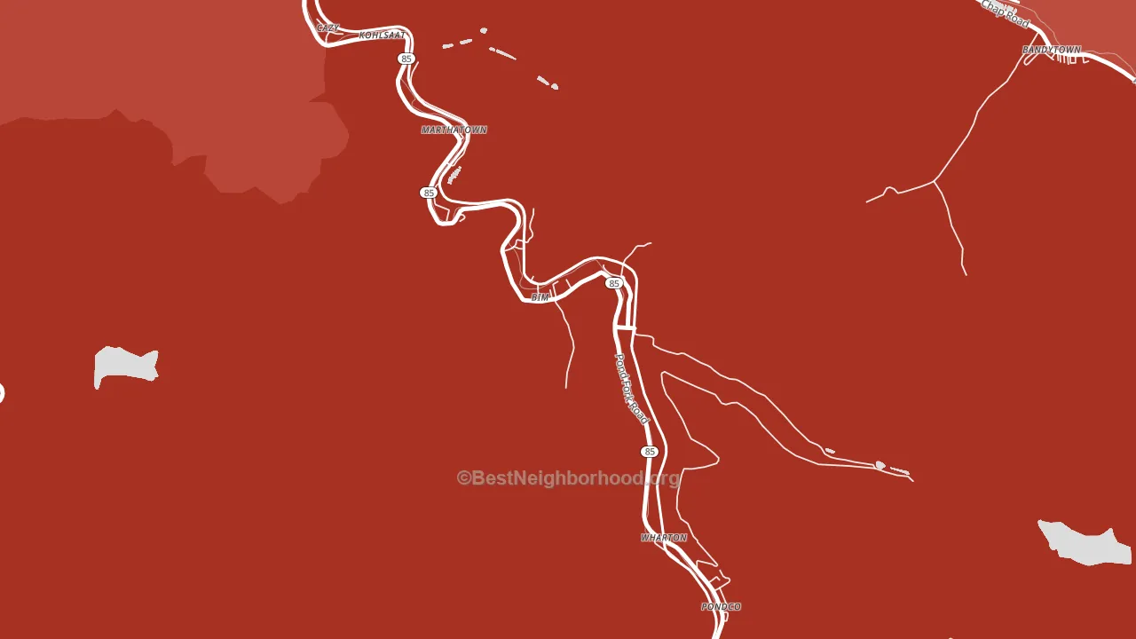 Bim, WV block-group political-lean map