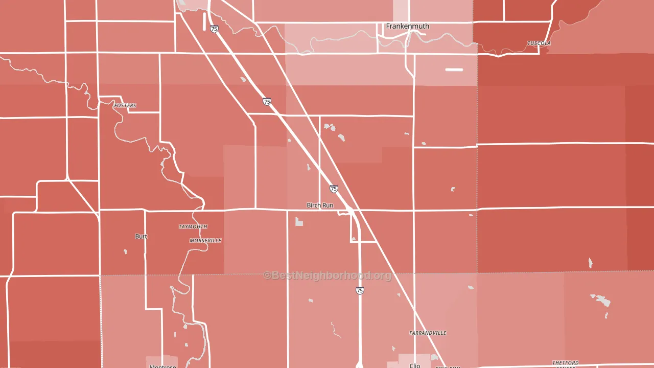 Birch Run, MI block-group political-lean map