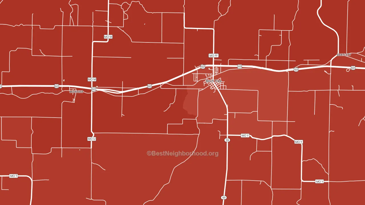 Birch Tree, MO block-group political-lean map