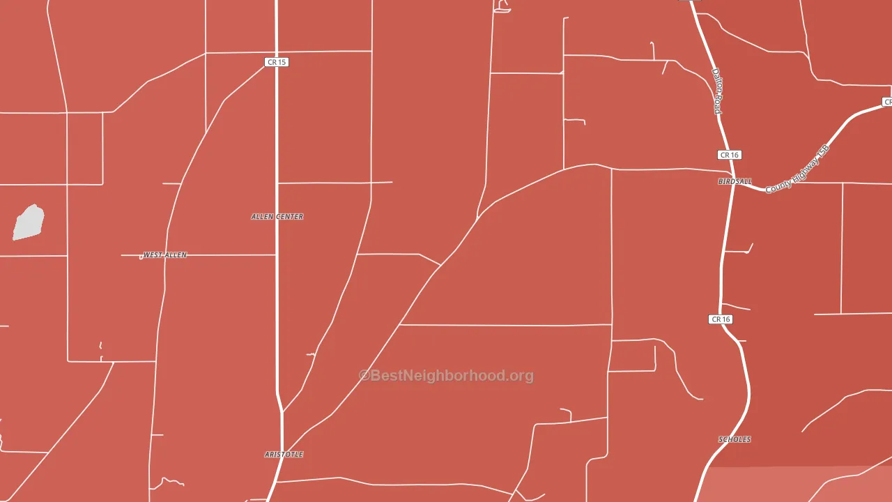 Birdsall, NY block-group political-lean map