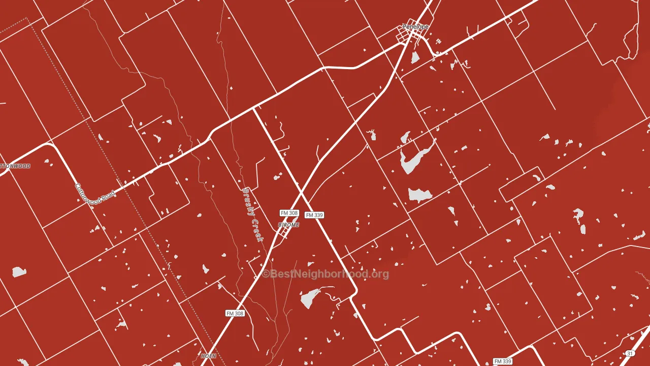 Birome, TX block-group political-lean map
