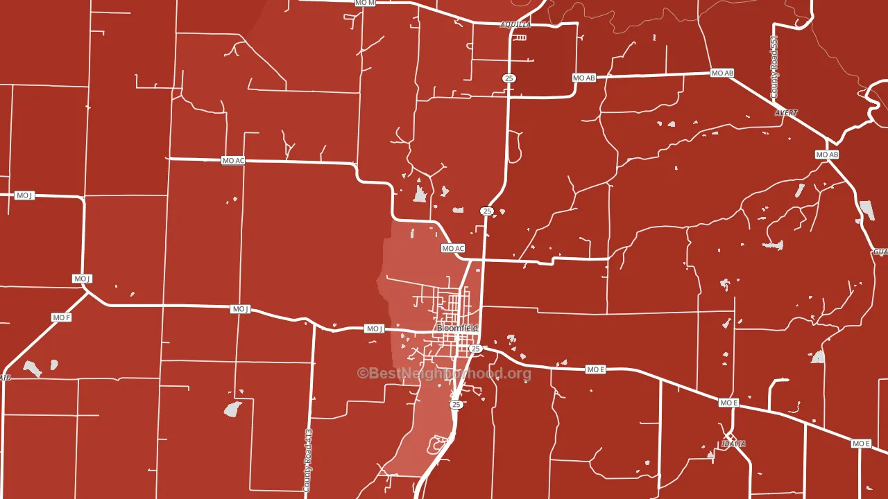 Bloomfield, MO block-group political-lean map