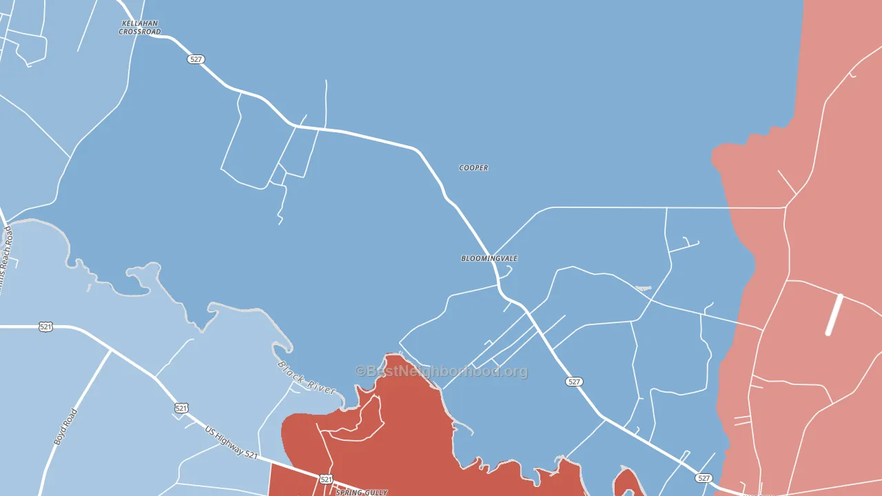Bloomingvale, SC block-group political-lean map