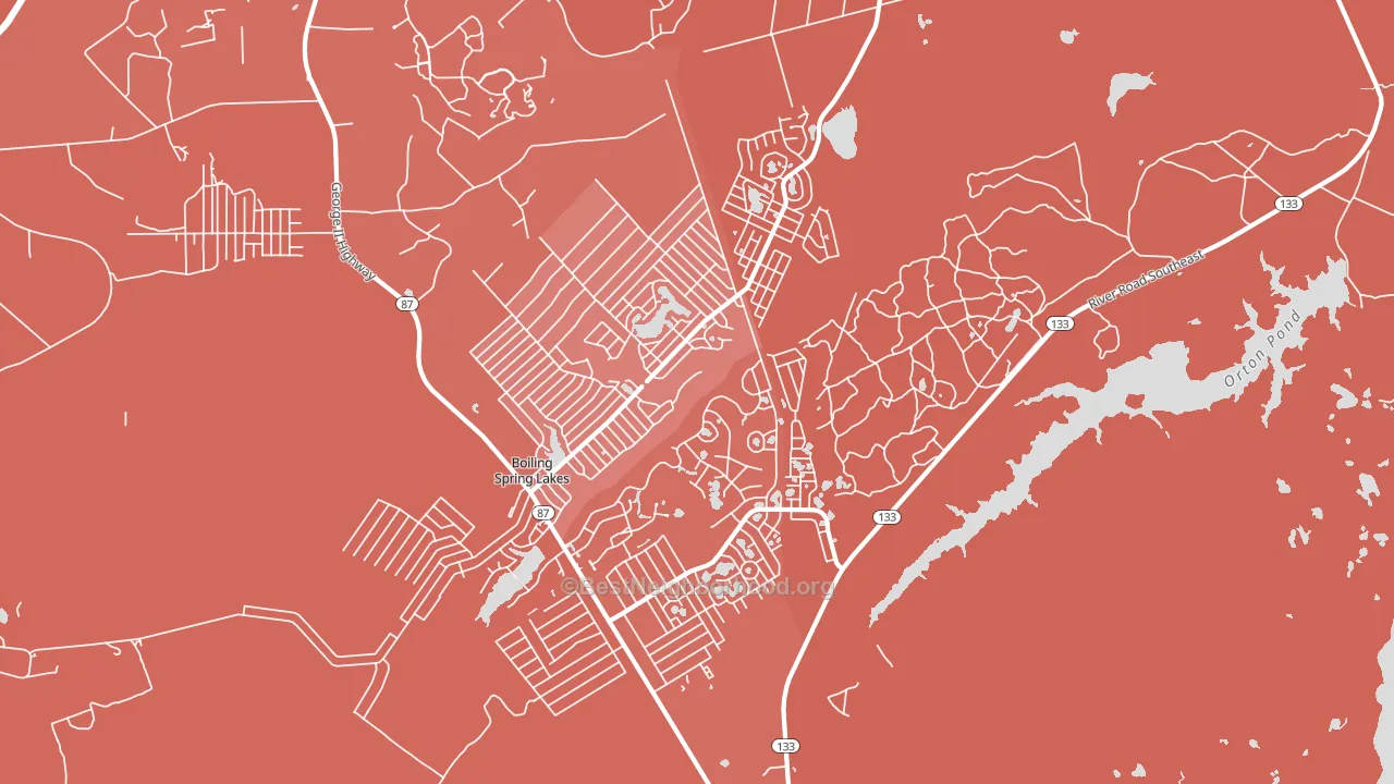 Boiling Spring Lakes, NC block-group political-lean map