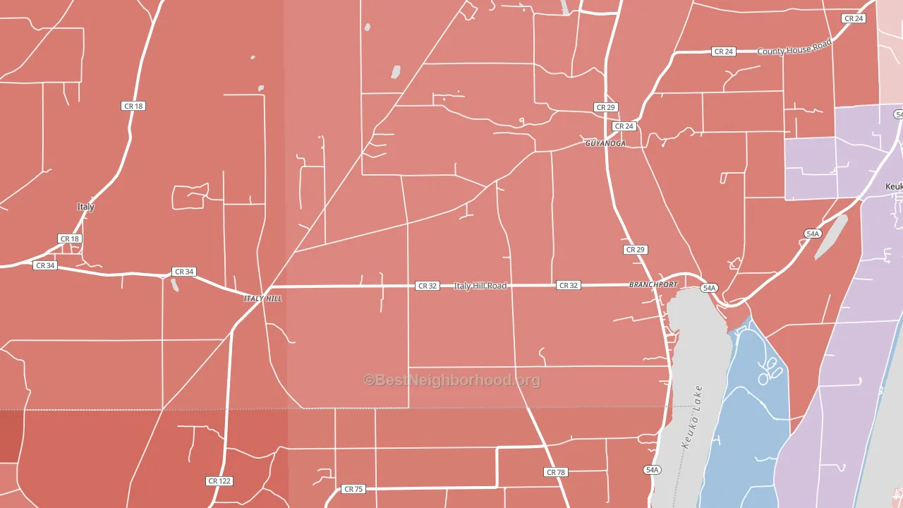 Branchport, NY block-group political-lean map