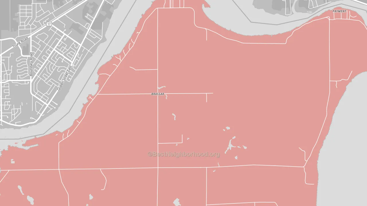Brassar, MI block-group political-lean map