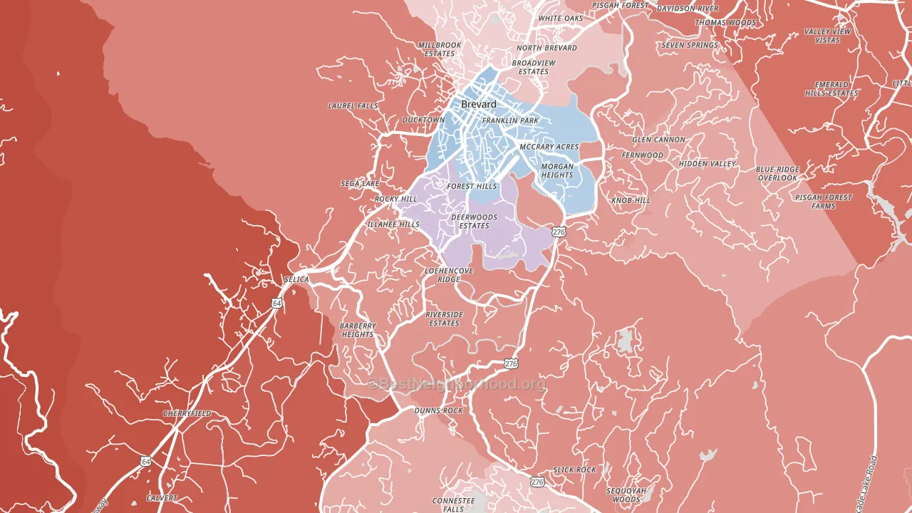Brevard, NC block-group political-lean map