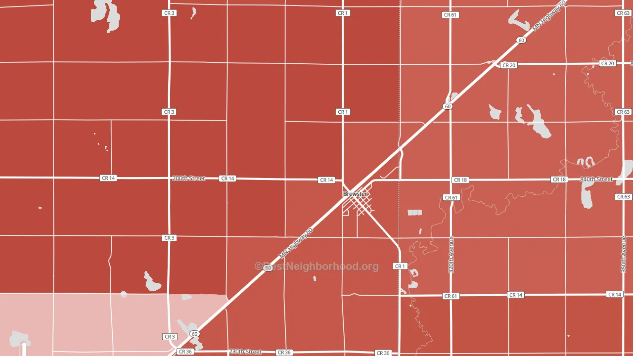 Brewster, MN block-group political-lean map