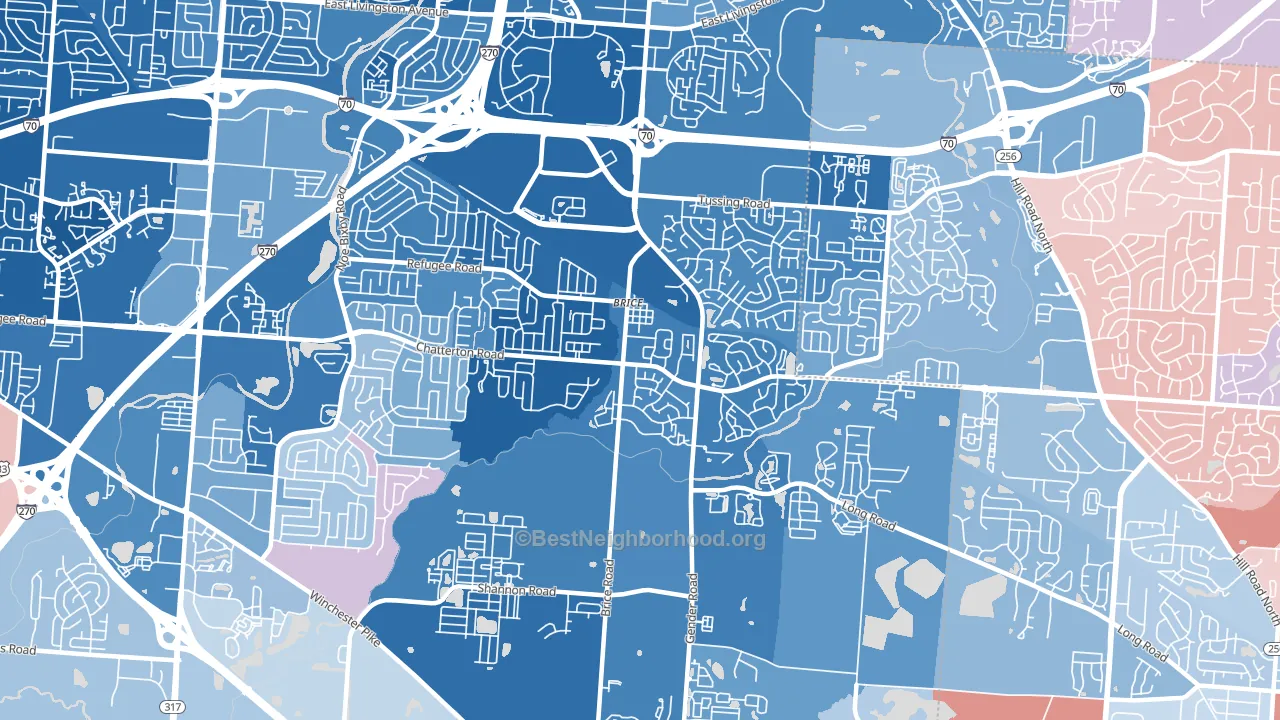 Brice, OH block-group political-lean map