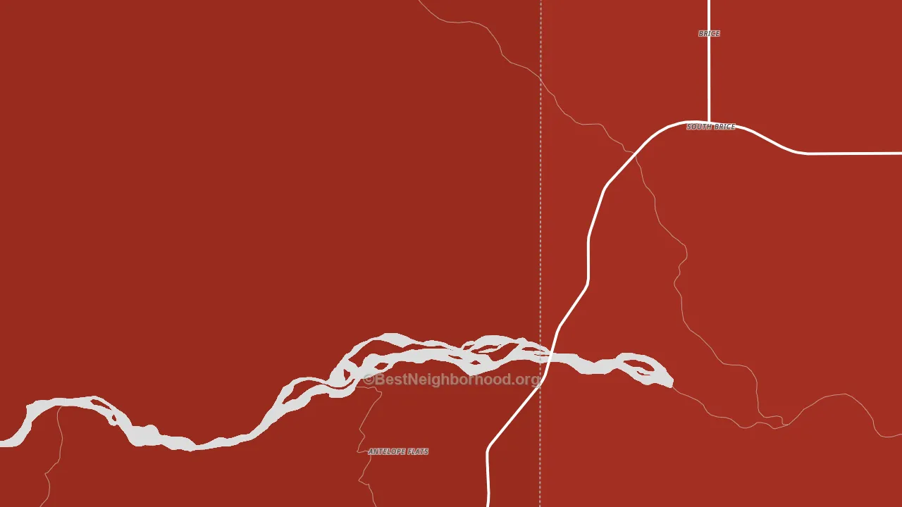 Brice, TX block-group political-lean map