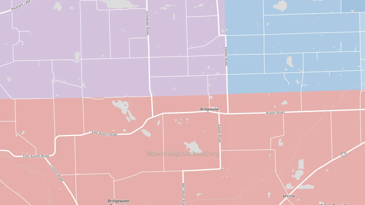 Bridgewater, MI block-group political-lean map