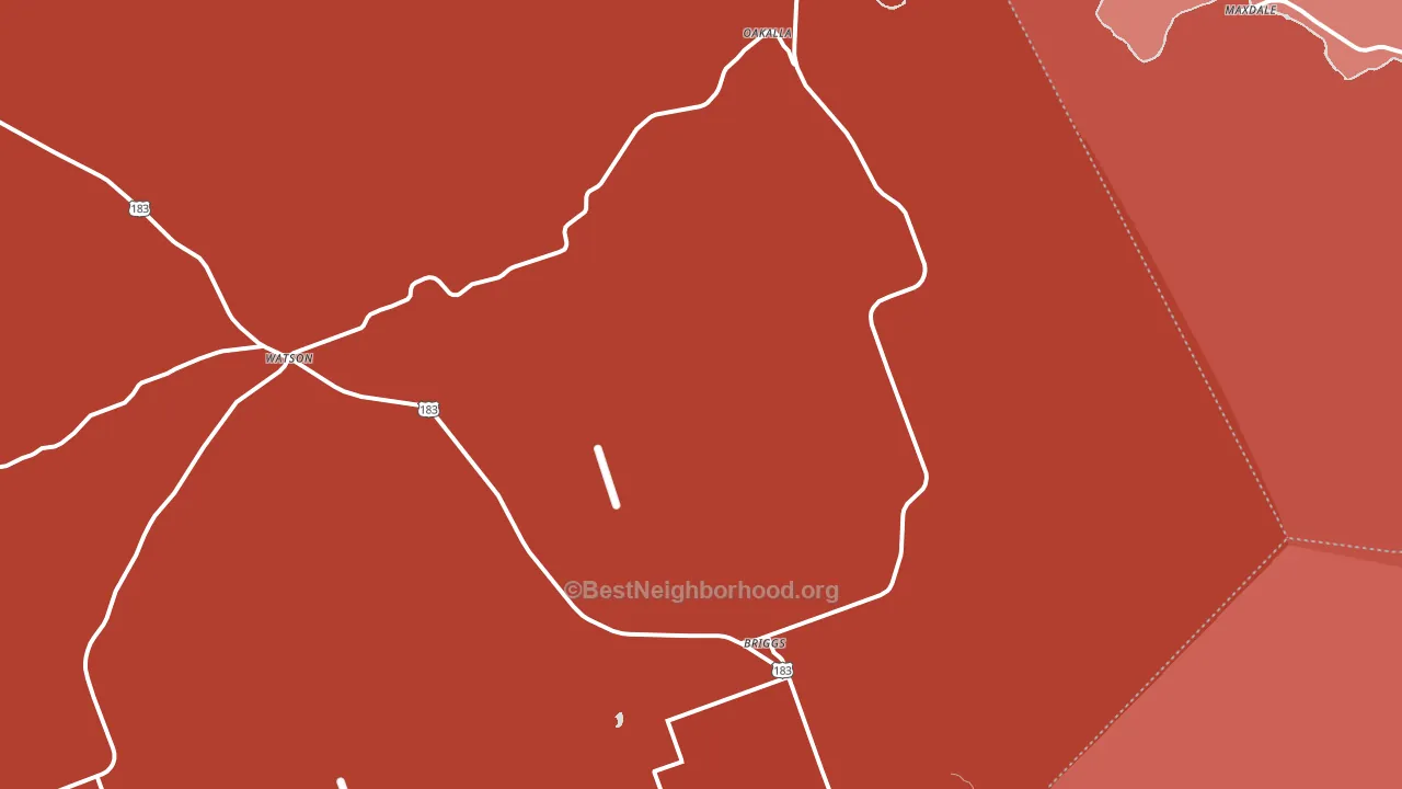 Briggs, TX block-group political-lean map