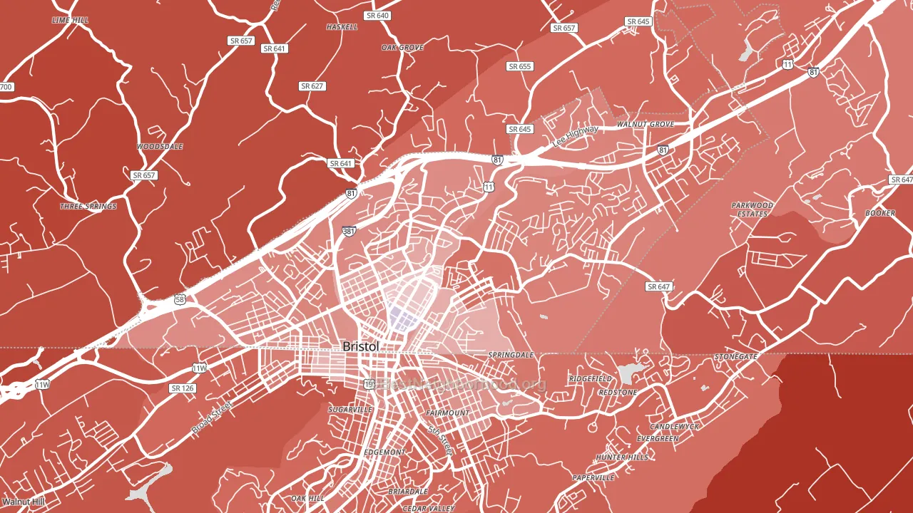 Bristol City, VA block-group political-lean map