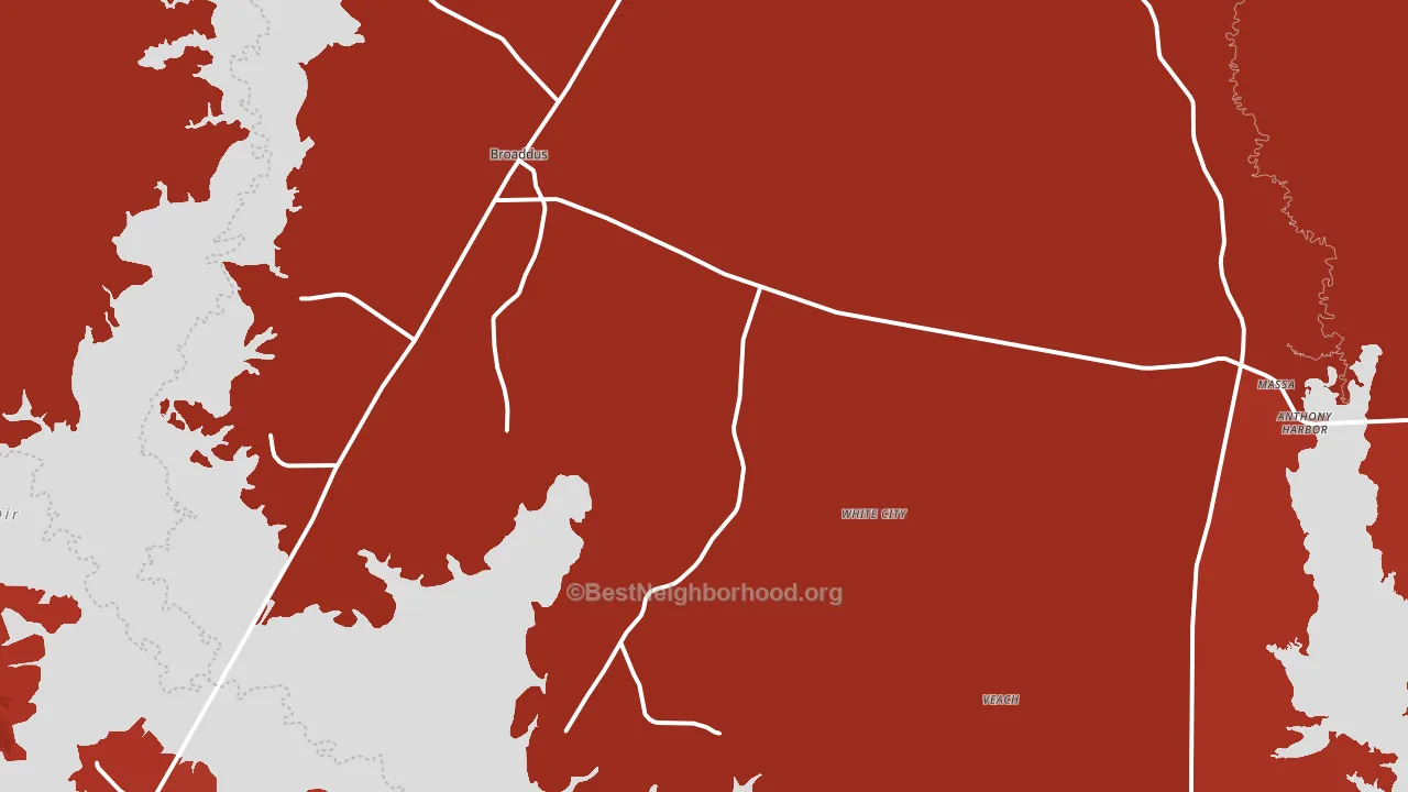 Broaddus, TX block-group political-lean map