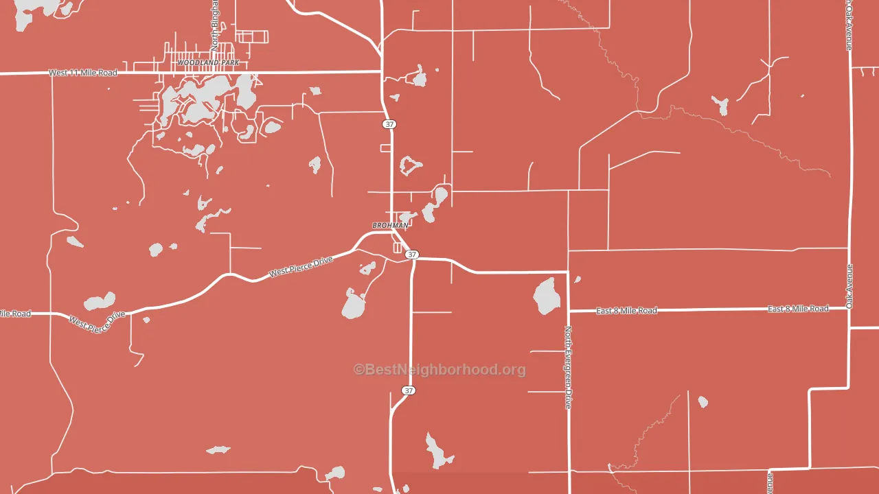 Brohman, MI block-group political-lean map