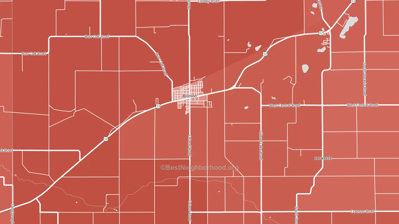 Bronson, MI block-group political-lean map