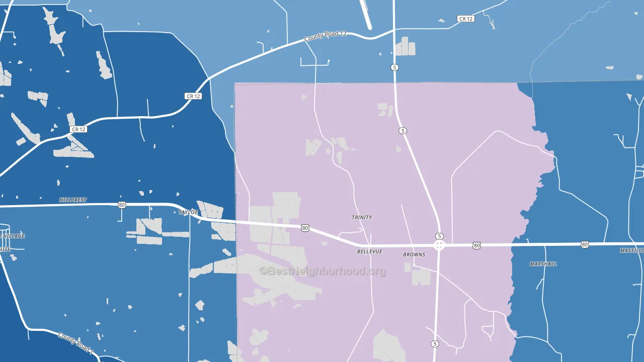 Browns, AL block-group political-lean map