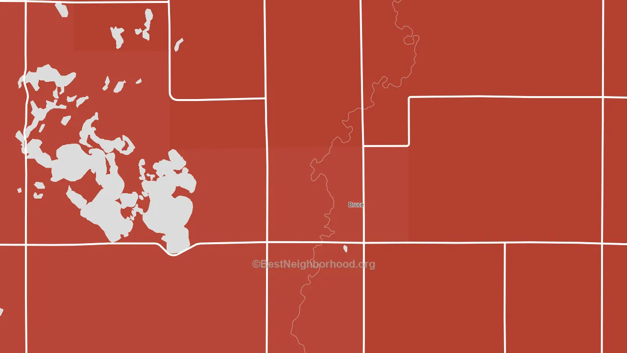 Bruce, SD block-group political-lean map