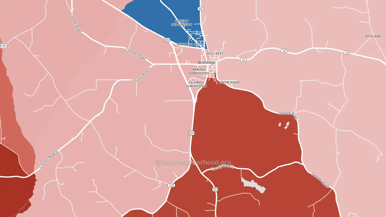 Brundidge, AL block-group political-lean map