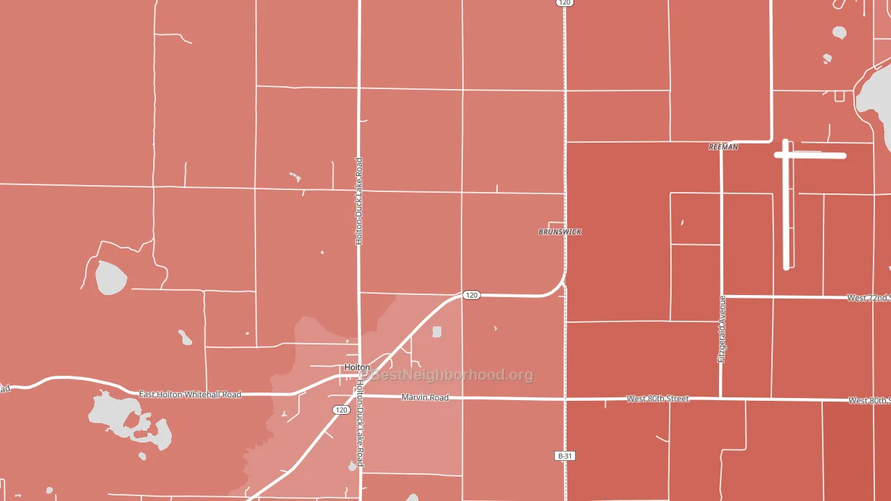 Brunswick, MI block-group political-lean map