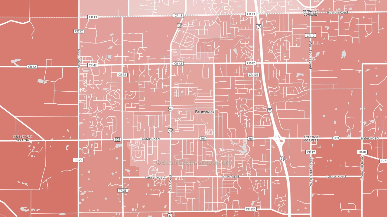 Brunswick, OH block-group political-lean map