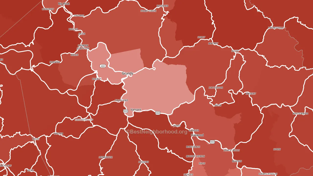 Buchanan County, VA block-group political-lean map