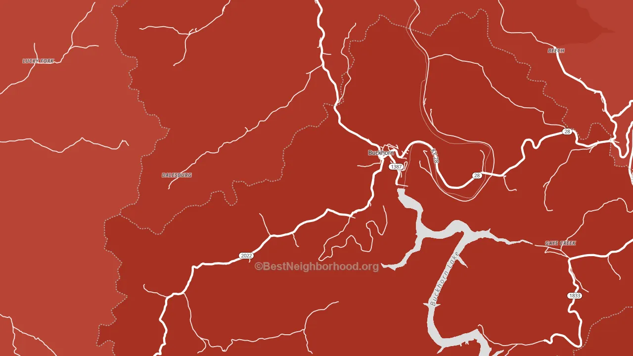 Buckhorn, KY block-group political-lean map