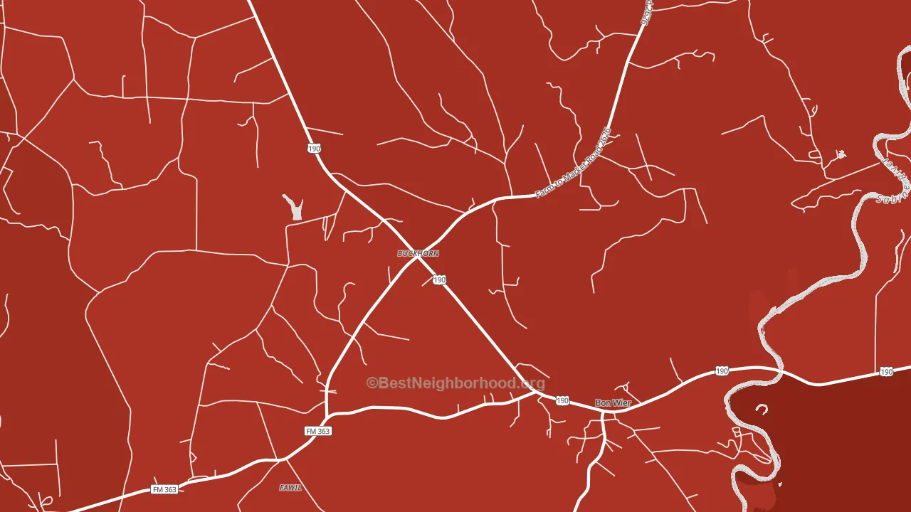 Buckhorn, TX block-group political-lean map