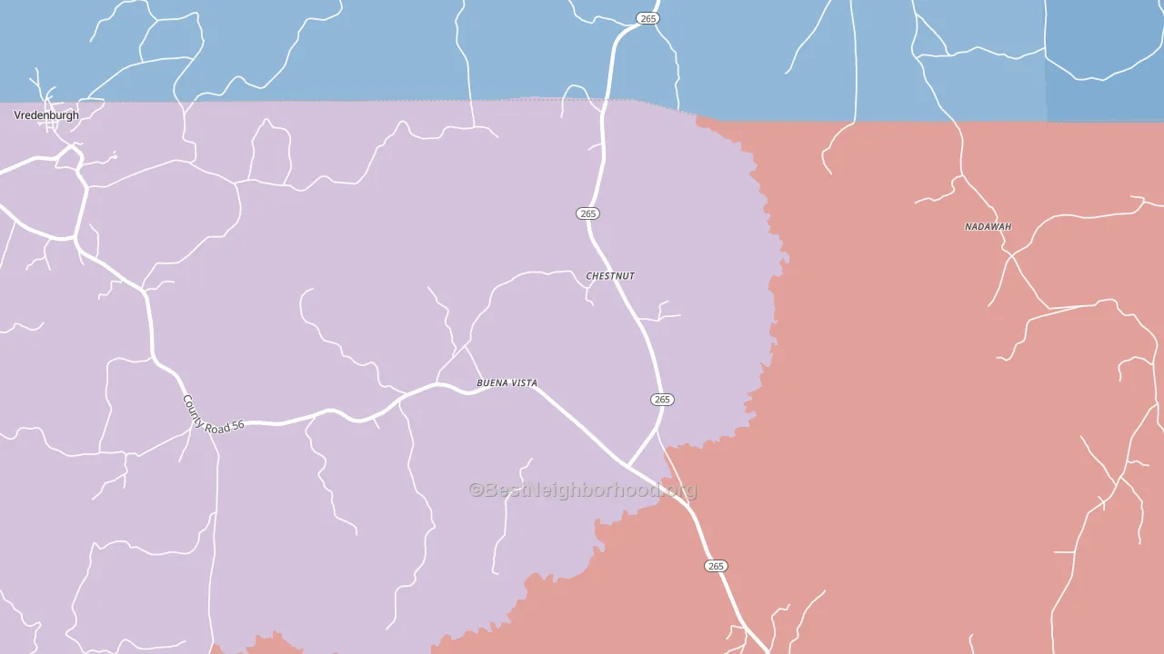 Buena Vista, AL block-group political-lean map