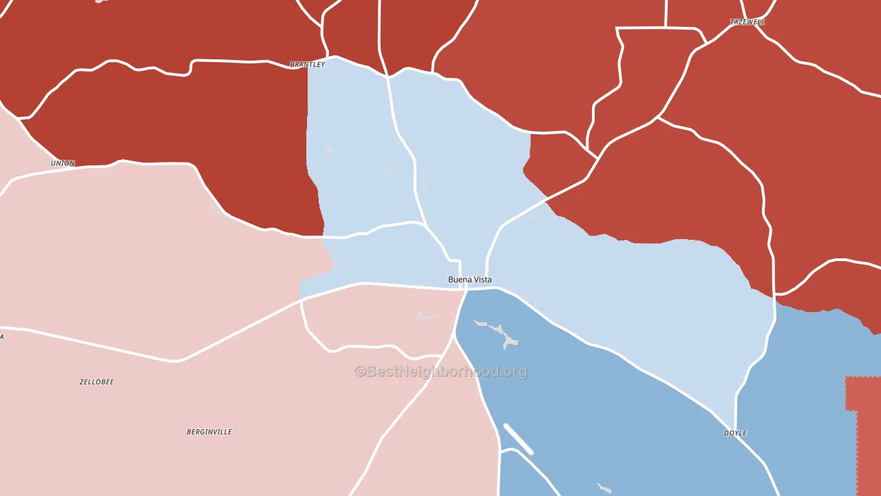 Buena Vista, GA block-group political-lean map