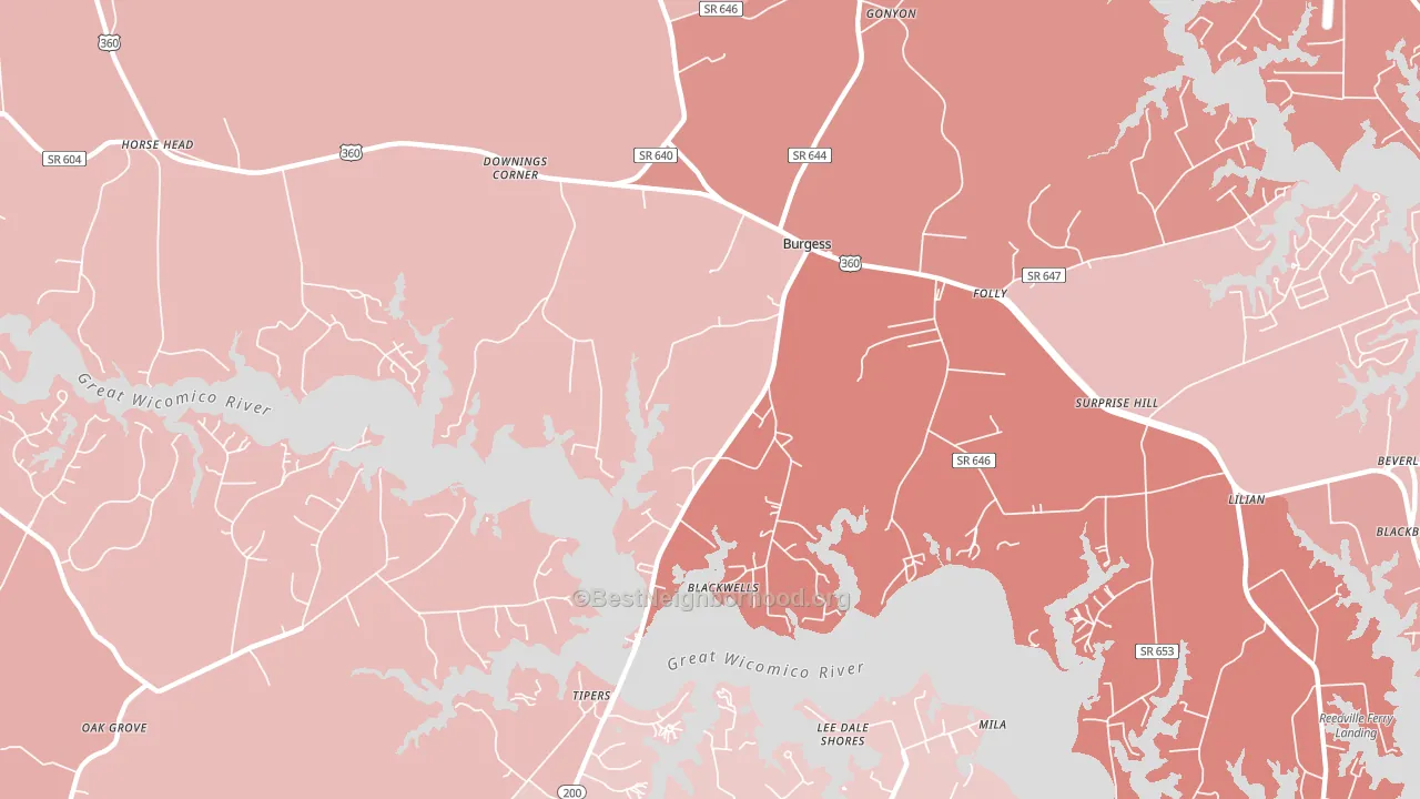 Burgess, VA block-group political-lean map