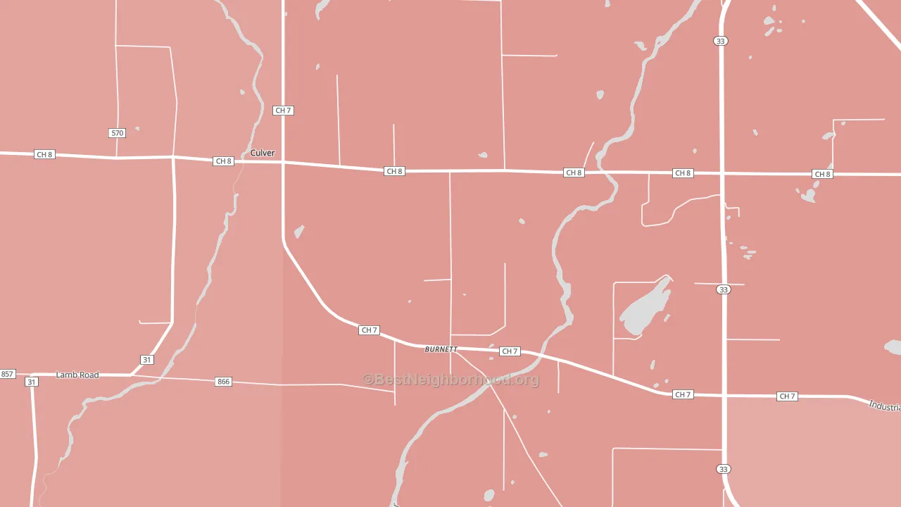 Burnett, MN block-group political-lean map