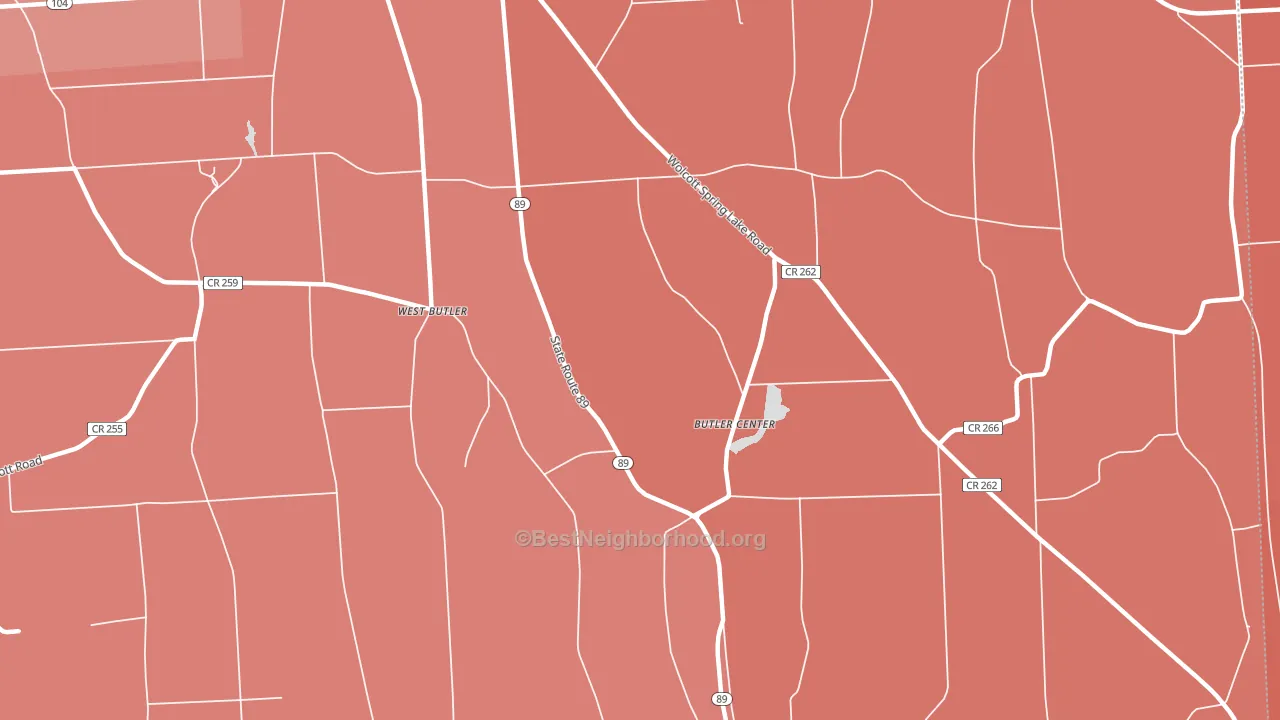 Butler Center, NY block-group political-lean map