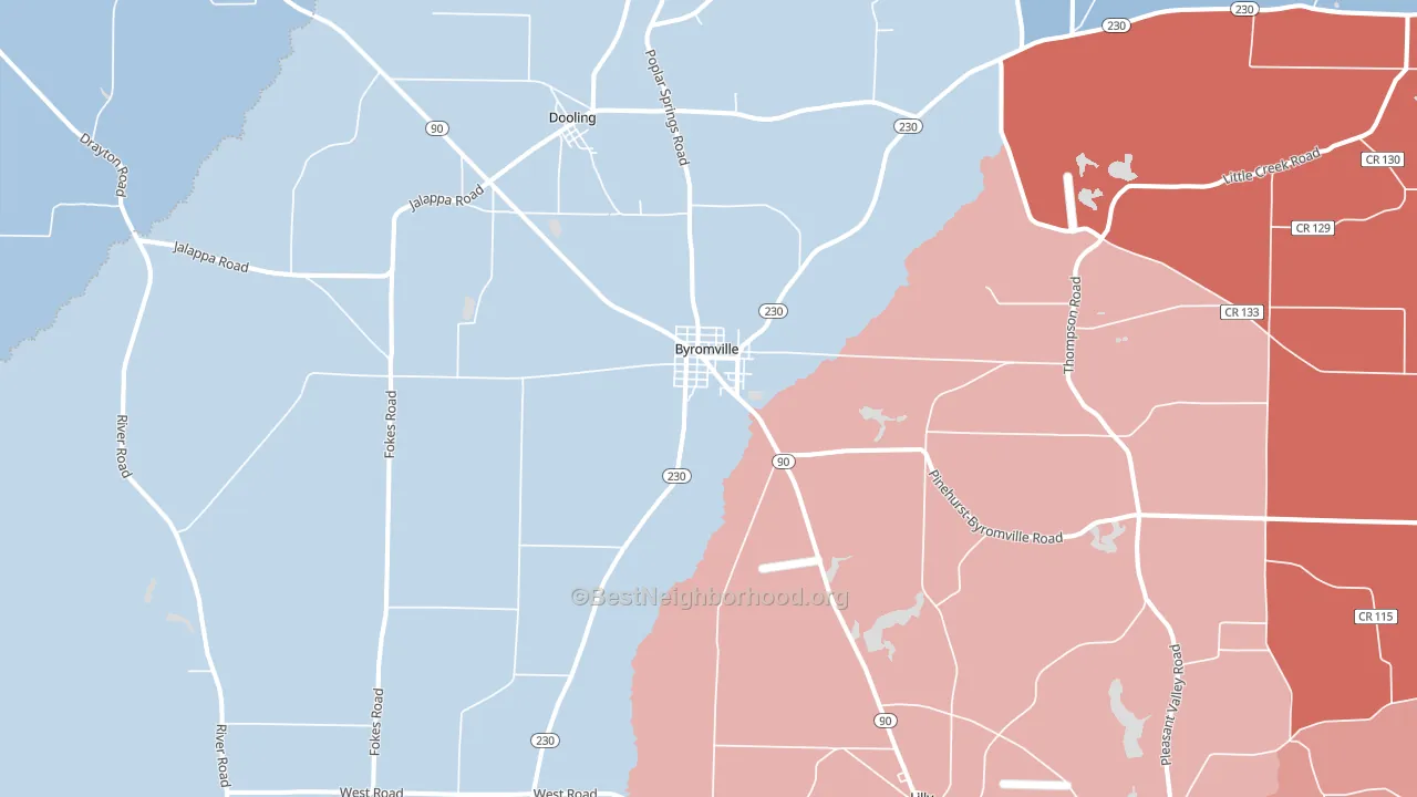 Byromville, GA block-group political-lean map