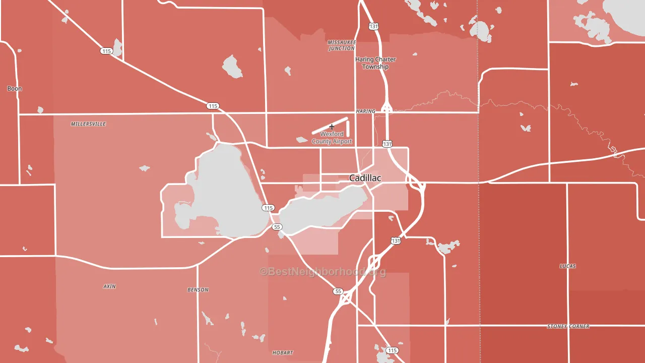 Cadillac, MI block-group political-lean map