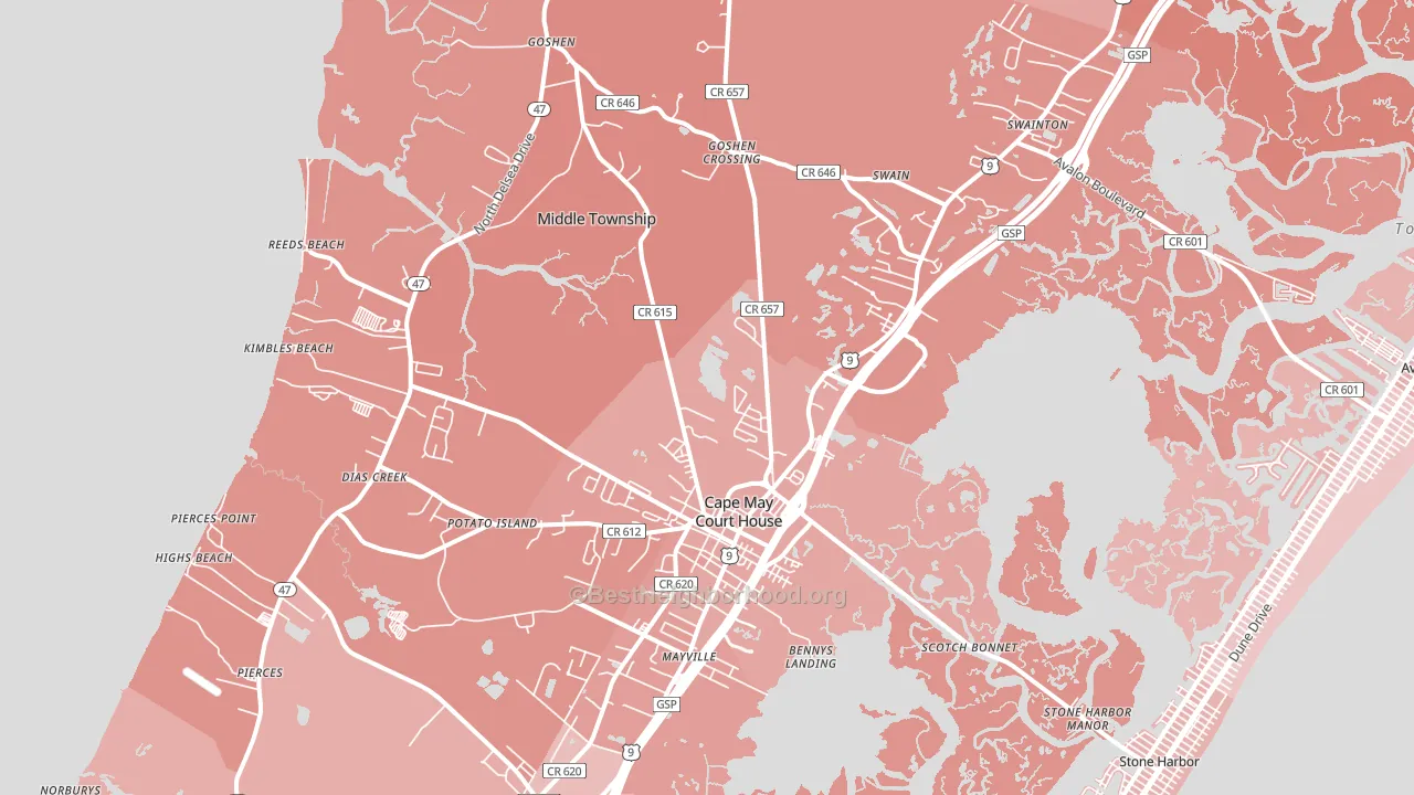 Cape May Court House, NJ block-group political-lean map